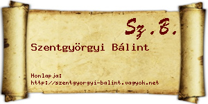 Szentgyörgyi Bálint névjegykártya
